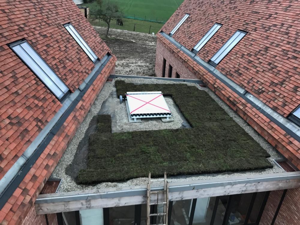 végétalisation maison  rieux